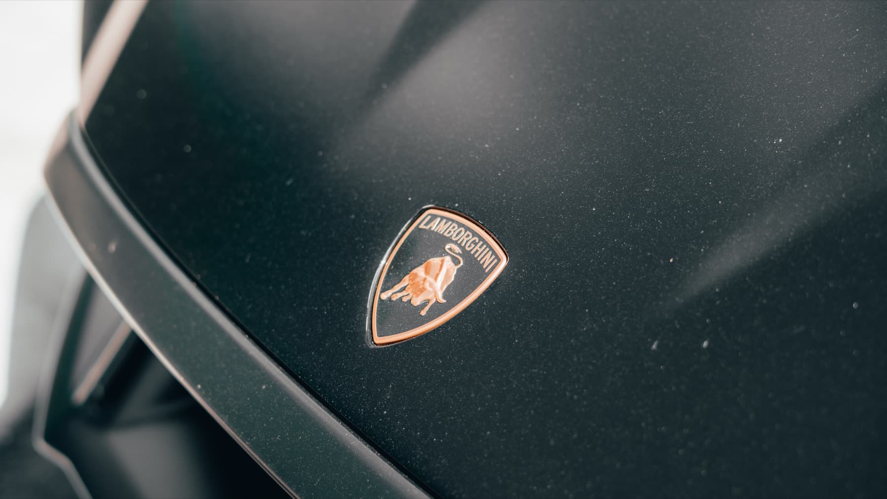 Lamborghini badge on a matte grey car