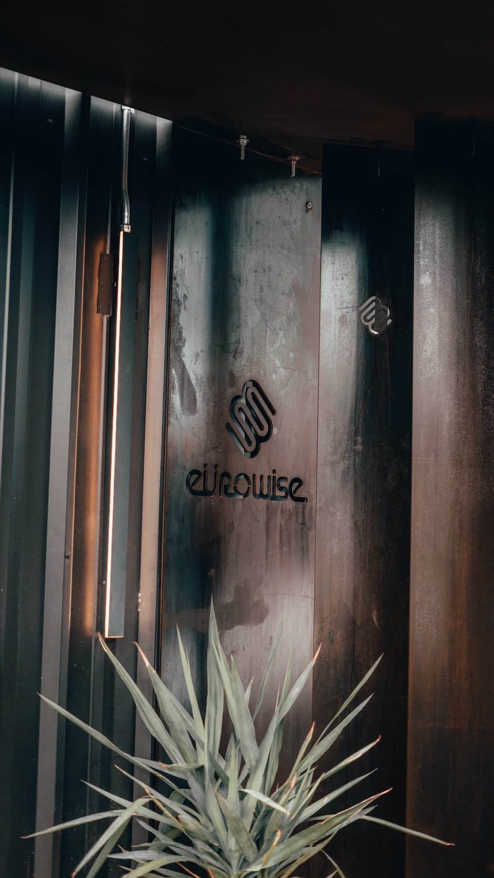 Plant and moody lighting inside the Eurowise lounge